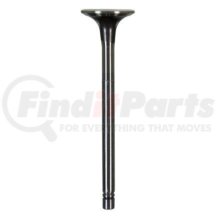 FP Diesel FP-145701 Exhaust Valve Kit (Stellite)