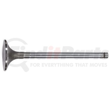 FP Diesel FP-1823875 Intake Valve