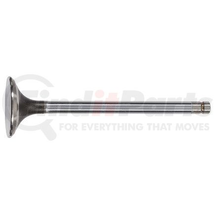 FP Diesel FP-1842912 VALVE, EXHAUST