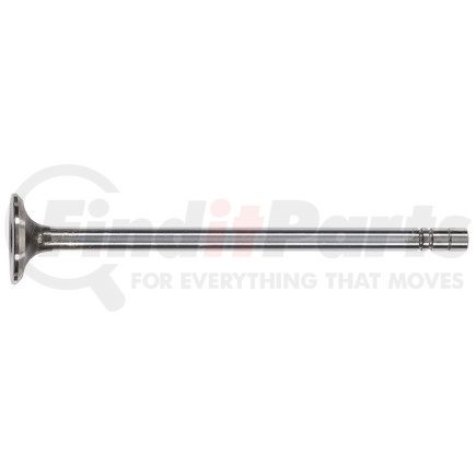 FP Diesel FP-1883122 Engine Exhaust Valve
