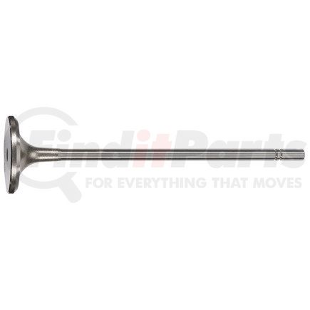 FP Diesel FP-1W1818 Engine Intake Valve