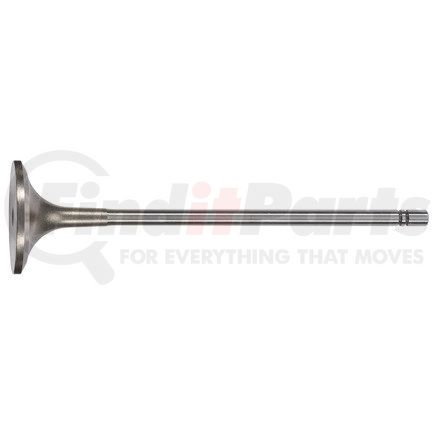 FP Diesel FP-1W8606 Engine Intake Valve