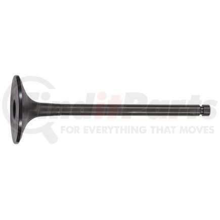 FP Diesel FP-2128477 Engine Intake Valve