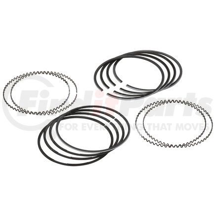 FP Diesel FP23514970 Ring Set, Single Cylinder