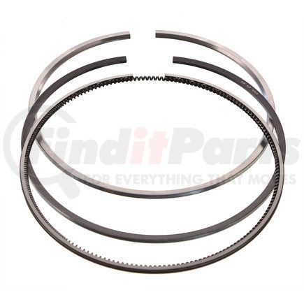 FP Diesel FP-2881756 RING SET, SINGLE CYLINDER
