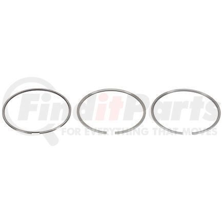 FP Diesel FP-2W1709 Ring Set - Single Cylinder