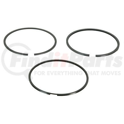 FP Diesel FP-2W6091 Ring Set - Single Cylinder