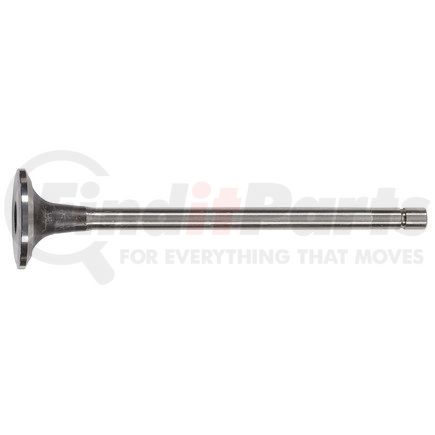 FP Diesel FP-3033234 Engine Intake Valve