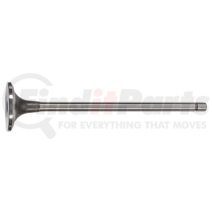 FP Diesel FP-3069672 Engine Exhaust Valve