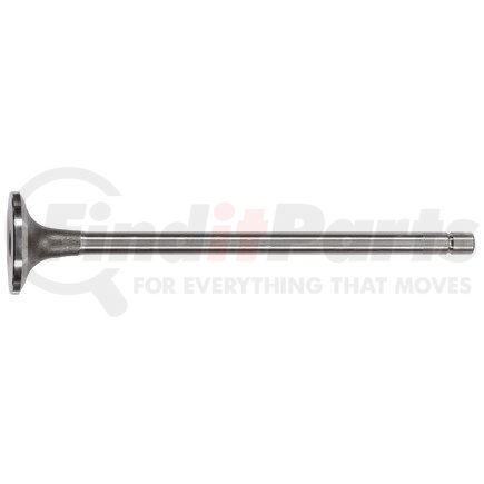 FP Diesel FP-3418020 Engine Intake Valve