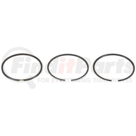 FP Diesel FP-3802040 Ring Set - Single Cylinder