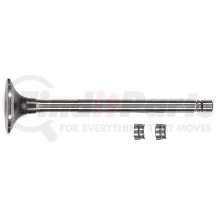 FP Diesel FP-3803519