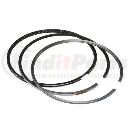 FP Diesel FP-3803961 Engine Piston Ring Gasket Set