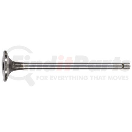 FP Diesel FP-3895477 Engine Exhaust Valve