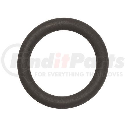 FP Diesel FP-3922794 O-Ring