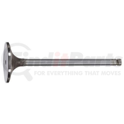 FP Diesel FP-3924492 Engine Intake Valve