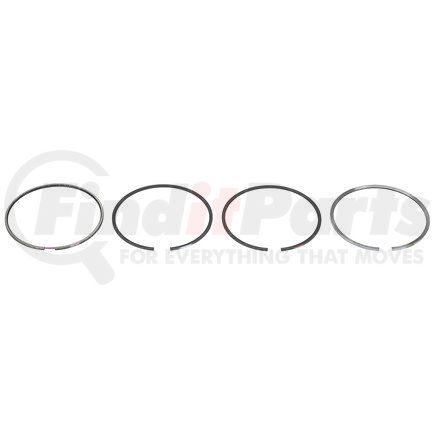 FP Diesel FP-4089810 Engine Piston Ring Gasket Set, Single Cylinder