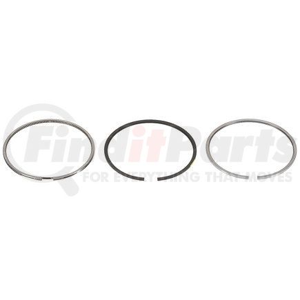 FP Diesel FP-4089644 Ring Set - Single Cylinder