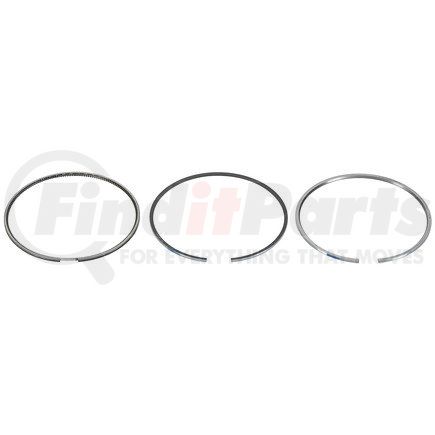 FP Diesel FP-4309441 