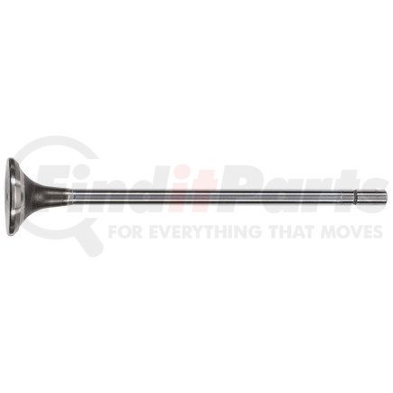 FP Diesel FP-4101454