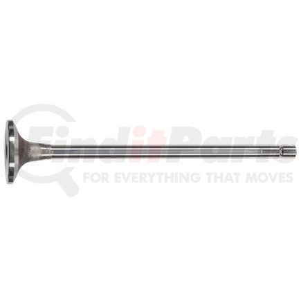 FP Diesel FP-4926069
