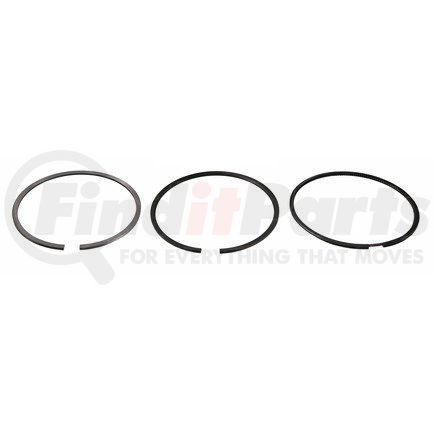 FP Diesel FP-4955366 RING SET, SINGLE CYLINDER