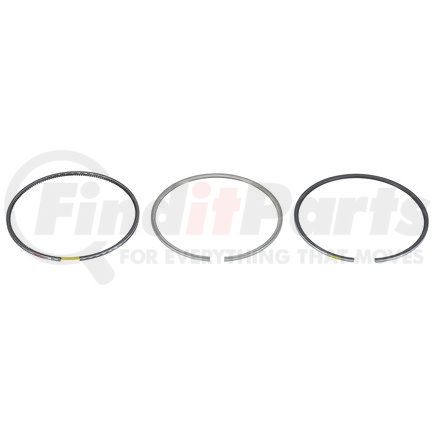 FP Diesel FP-4955975 Ring Set - Single Cylinder