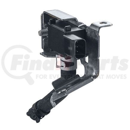 Electrical, Lighting and Body