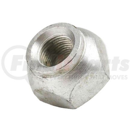 Euclid E-5554-L Wheel Cap Nut