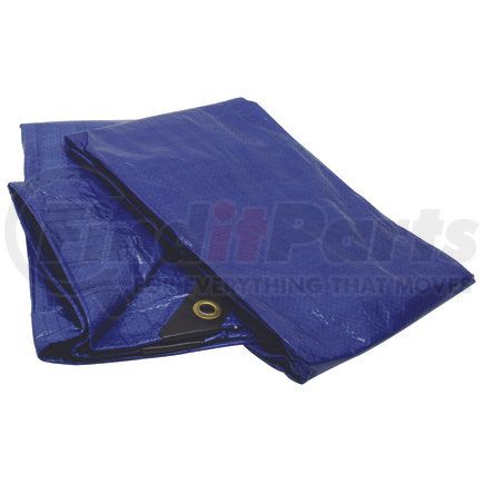 RoadPro RPTP-68 Tarp - Heavy Duty, Weather Resistant, 4 Mil, 6. x 8 ft. Cover, Blue
