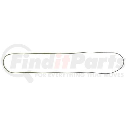 FP Diesel FP-5119973 SEAL RING 4&8V C