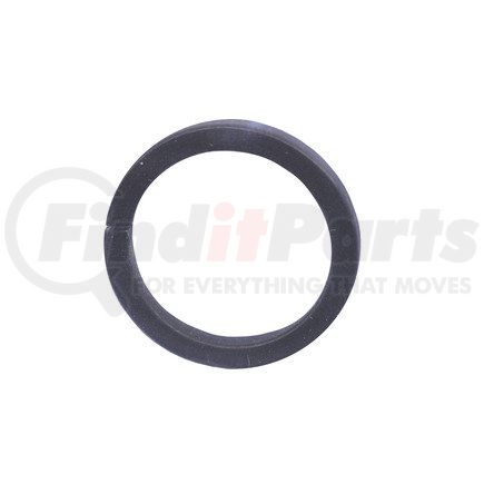 FP Diesel FP-5174429 RETAINER, GOV THR SHAFT
