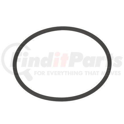 FP Diesel FP-5234699 SEAL RING INJECT