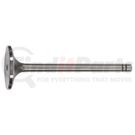 FP Diesel FP-5S6449 Engine Exhaust Valve