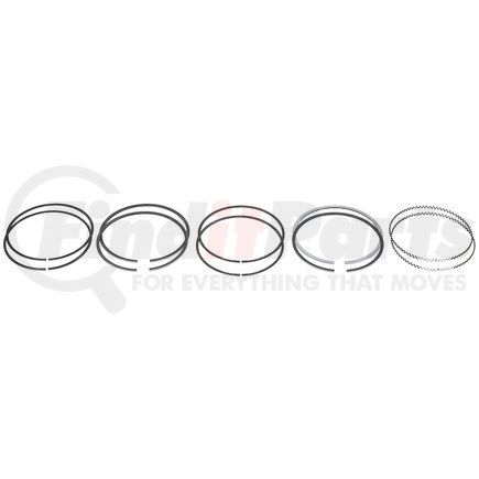 FP Diesel FP8928932 Ring Set, Single Cylinder