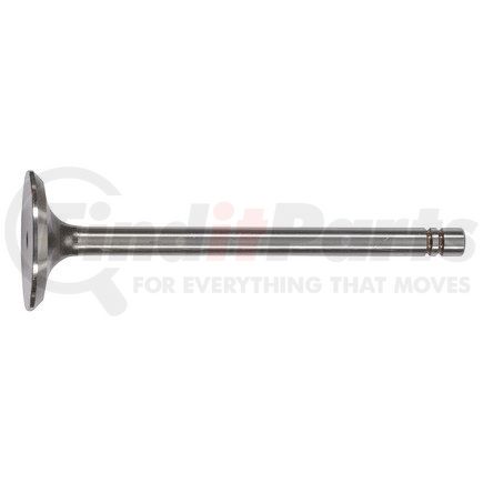 FP Diesel FP-9L7683 Exhaust Valve Kit