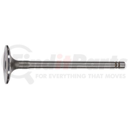 FP Diesel FP-9N0180 Engine Intake Valve