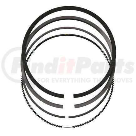 FP Diesel FP-RE503528 RING SET, SINGLE CYL