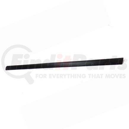 Mopar ZR54RXFAA Door Molding - Front, Right