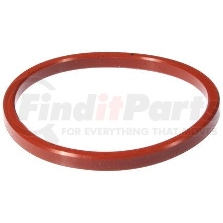 Engine Oil Cooler Gasket