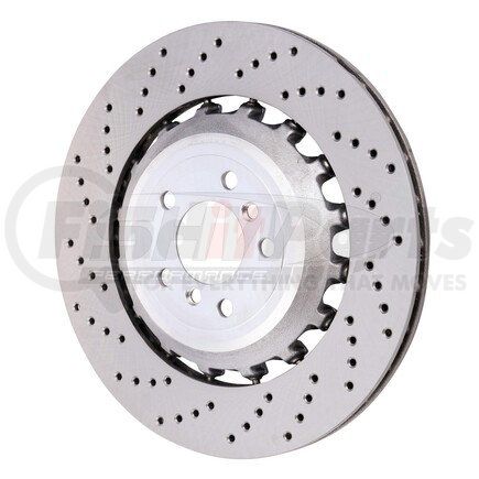 Shw Performance BRL48171 Disc Brake Rotor