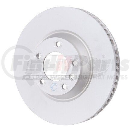 Shw Performance VFL37813 Disc Brake Rotor