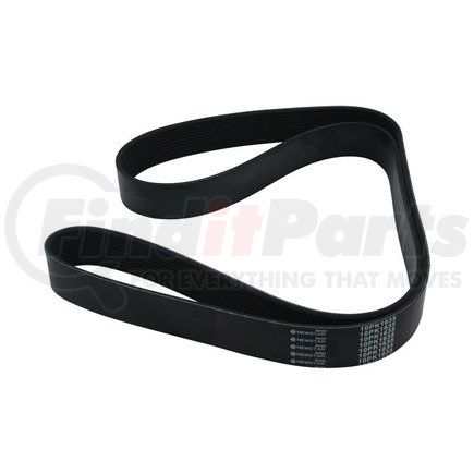 Newstar S-25556 Serpentine Belt