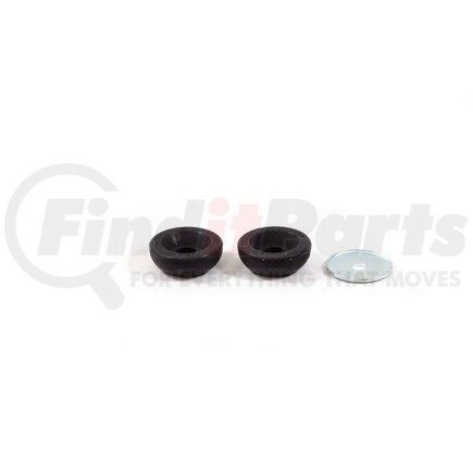 Suspension Strut and Coil Spring Assembly