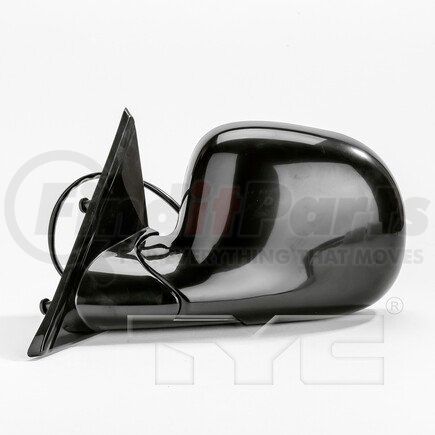 TYC 1000242 Door Mirror
