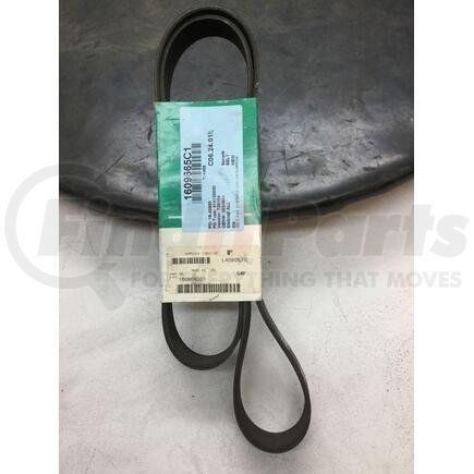 Navistar 1609665C1 Accessory Drive Belt