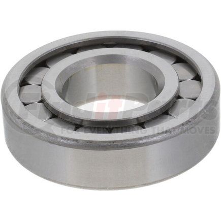 Differential Pinion Pilot Bearing