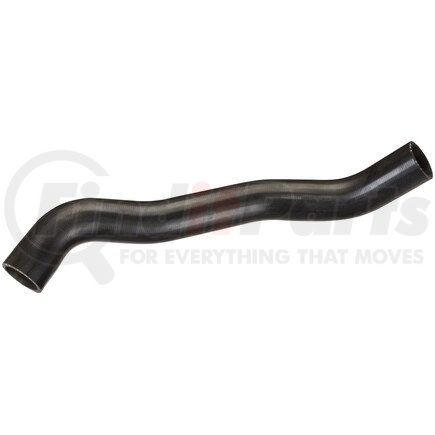 Spectra Premium FNH072 Fuel Filler Hose