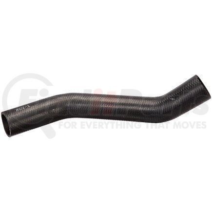 Spectra Premium FNH122 Fuel Filler Hose