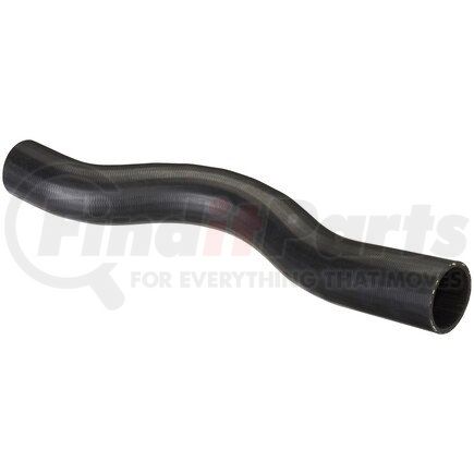 Spectra Premium FNH119 Fuel Filler Hose